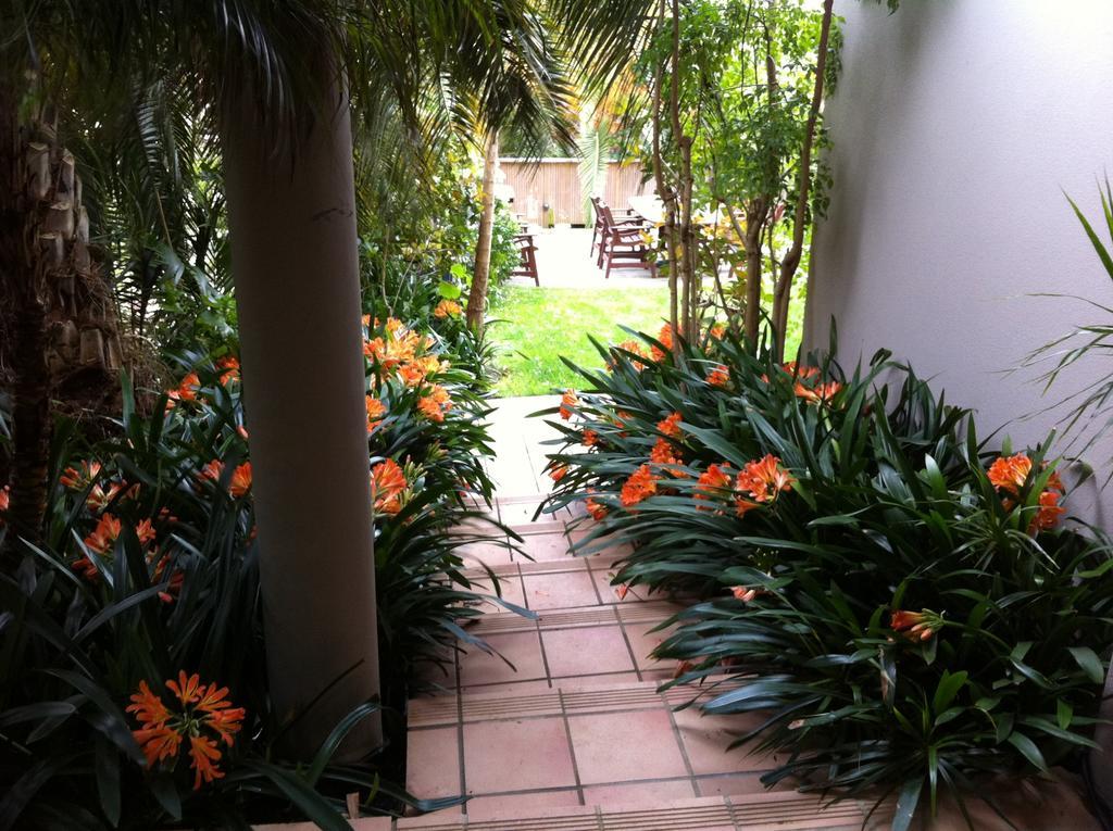 Palm Garden Apartment Auckland Exteriör bild
